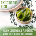 Organic Kelp Powder