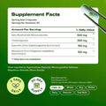 NMN Supplement – 4-In-1 NAD Supplement with Quercetin