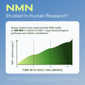 NMN Supplement – 4-In-1 NAD Supplement with Quercetin