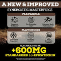 High Flavanol Cocoa Powder