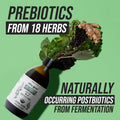 Flora Biome Complete Gut Health Probiotic Blend