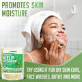 Organic Kelp Powder